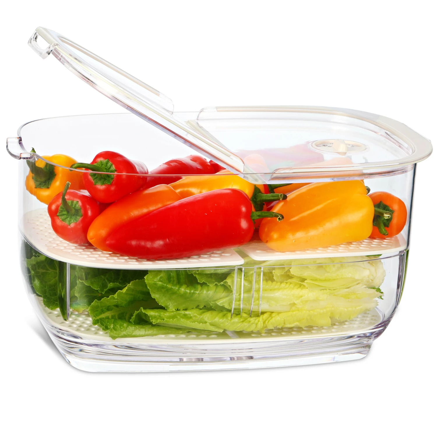 Fridge Fresh Keeper Container - Large 7 Fridge Fresh Keeper Container - Large - Image 5