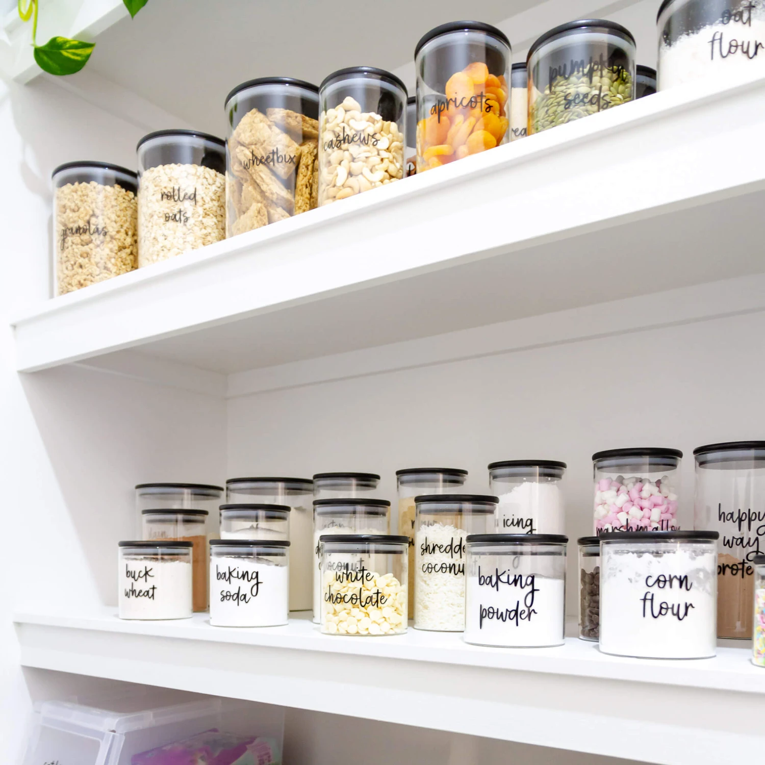 Next Level Everyday Essential Pantry Label Pack 7 Next Level Everyday Essential Pantry Label Pack - Image 5